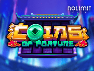 Coins Of Fortune game icon